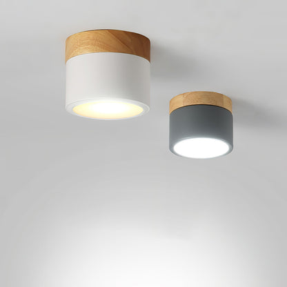 SpotLicht - Ceiling Spot Lamp with Sleek Form and Directional Lighting