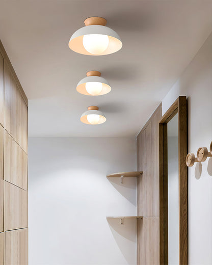 SkyVolo - Ceiling Light