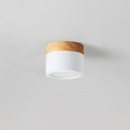 SpotLicht - Ceiling Spot Lamp with Sleek Form and Directional Lighting