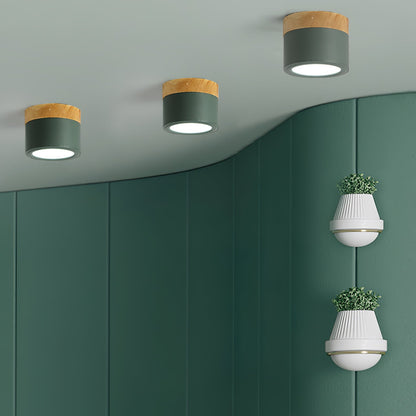 SpotLicht - Ceiling Spot Lamp with Sleek Form and Directional Lighting