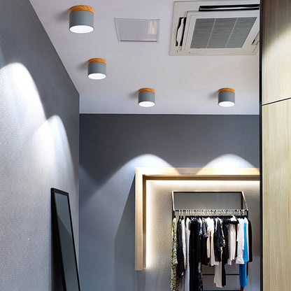 SpotLicht - Ceiling Spot Lamp with Sleek Form and Directional Lighting