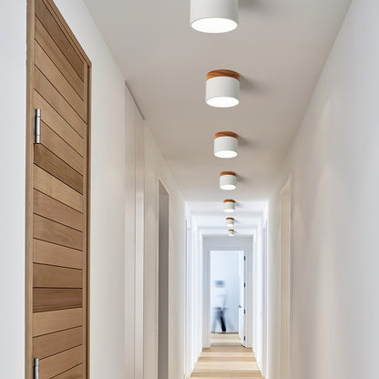 SpotLicht - Ceiling Spot Lamp with Sleek Form and Directional Lighting