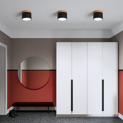 SpotLicht - Ceiling Spot Lamp with Sleek Form and Directional Lighting