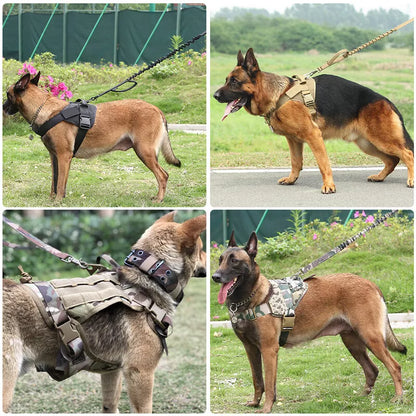 Sele til hund uden træk - Hundesnor