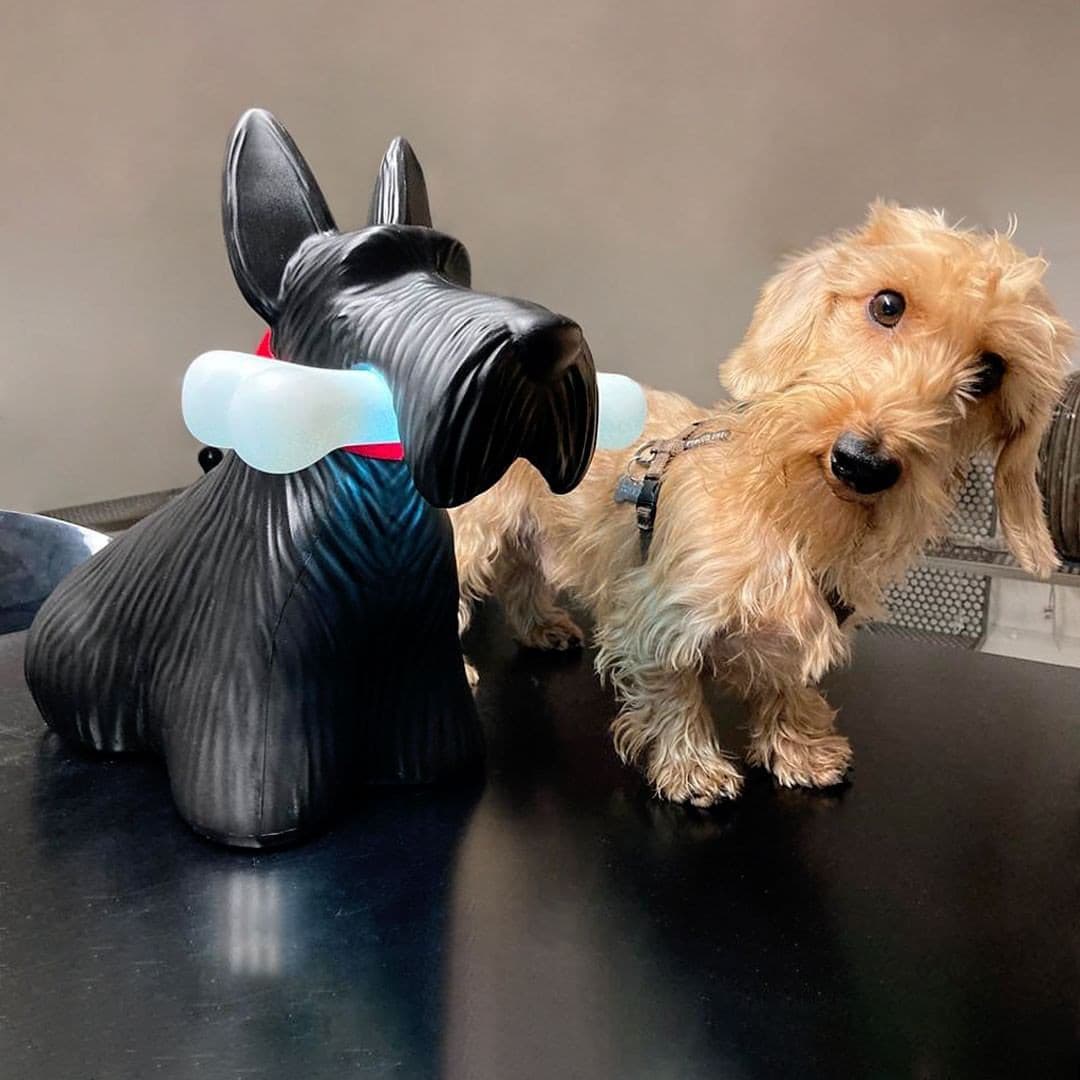 FidoGlow - Bedårende Scottie Hund Bordlampe