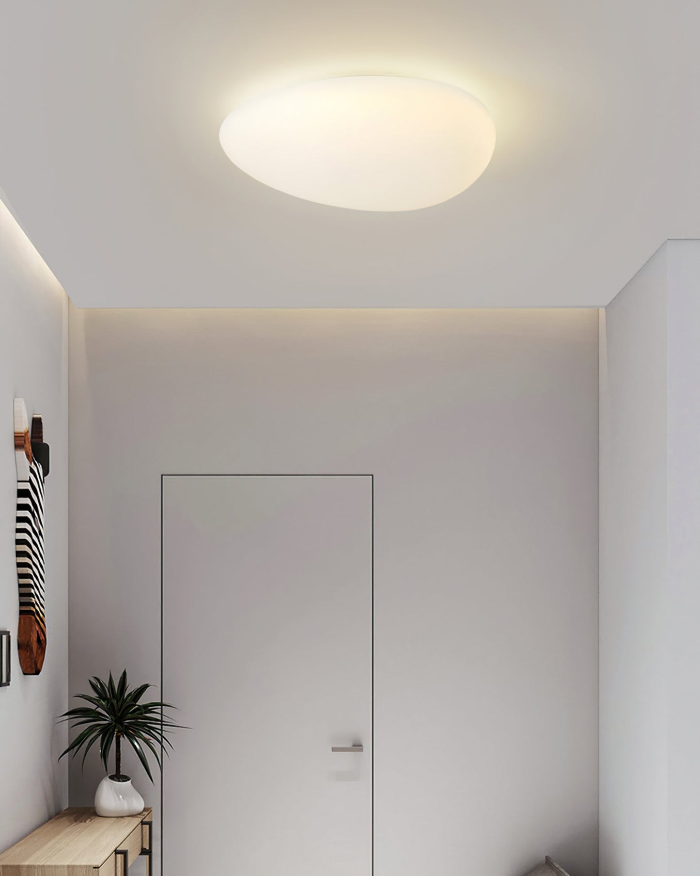 LEDToan - Ceiling Lamp