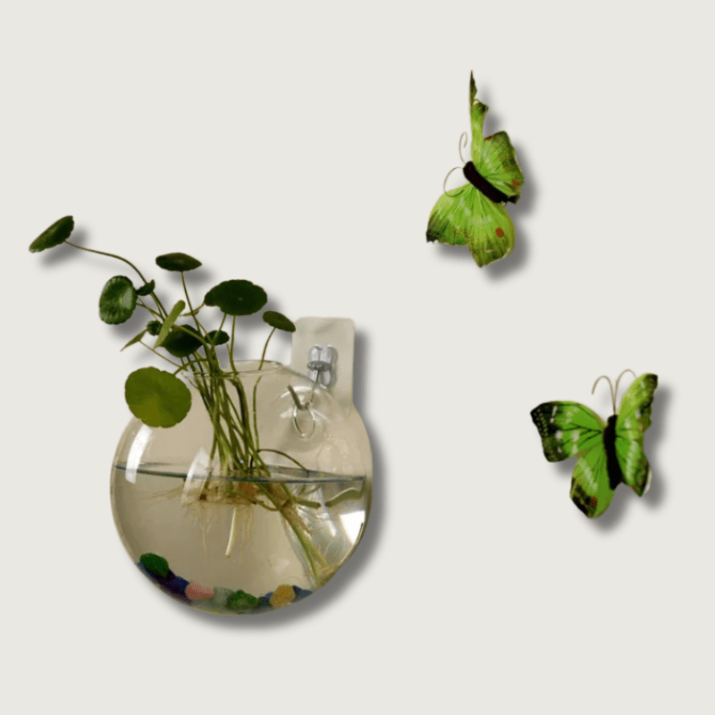 AeroVase - Décoration en verre hydrologique